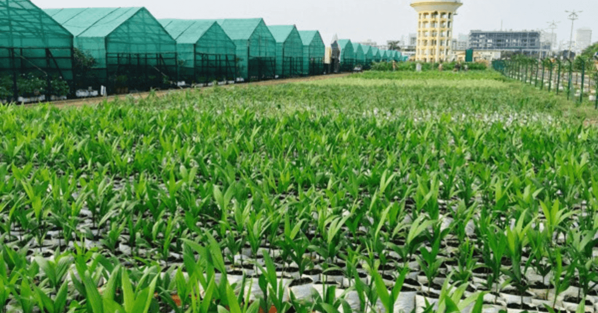 Image of 8 Lucrative Agricultural And Farming Business